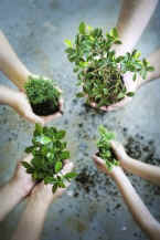Passing things on in an eco-friendly manner is the mission of all consignment, resale, and thrift shops.