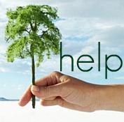 Need help with your consignment, thrift, or resale shop? Auntie Kate & friends offer some sound advice.